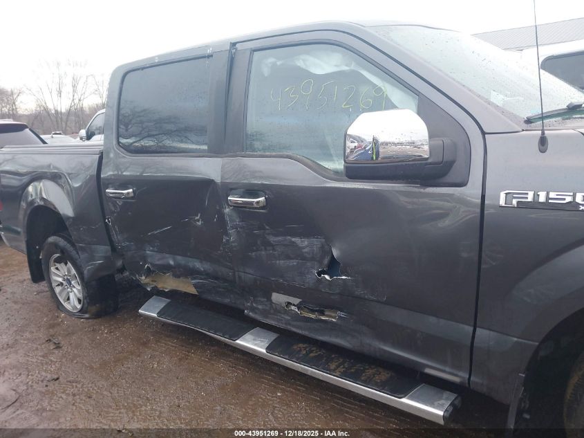 2015 Ford F-150 Xl VIN: 1FTEW1C88FFC28717 Lot: 43951269