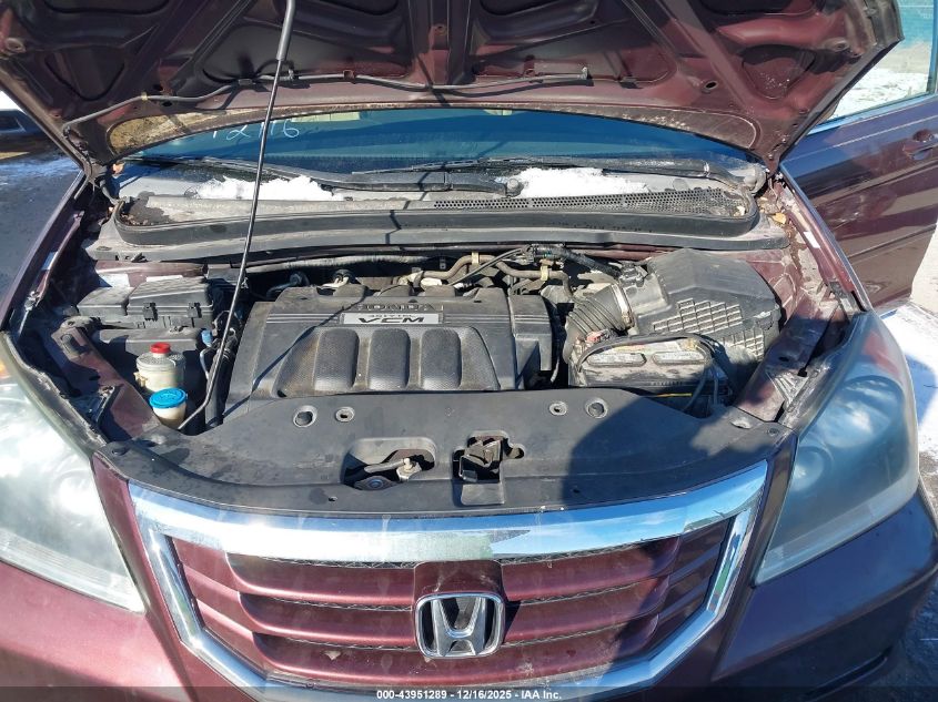 2008 Honda Odyssey Ex-L VIN: 5FNRL38638B405307 Lot: 43951289