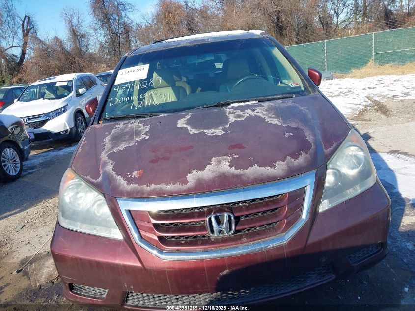 2008 Honda Odyssey Ex-L VIN: 5FNRL38638B405307 Lot: 43951289