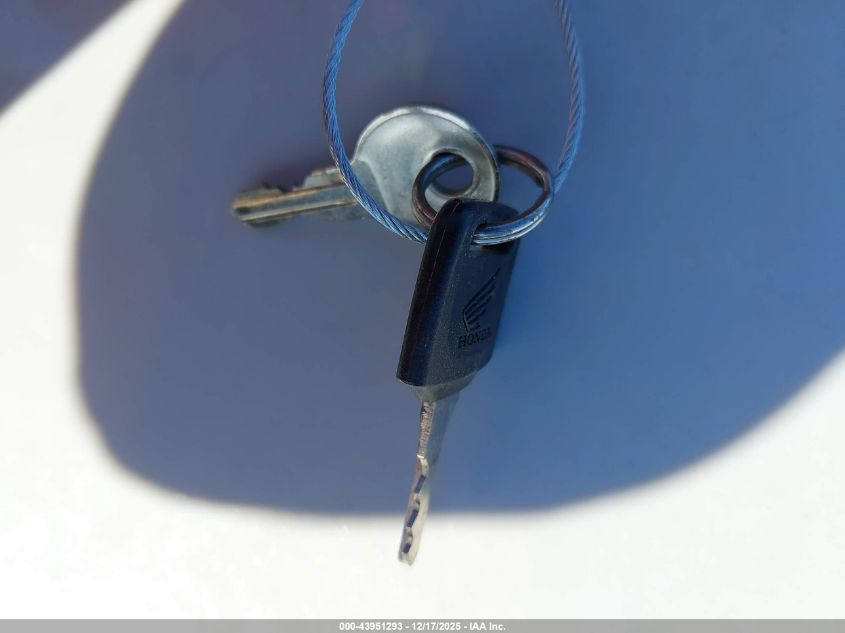 2004 Honda Vt750 Ca VIN: JH2RC50394M001319 Lot: 43951293