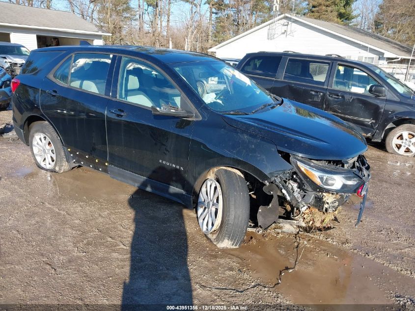 2019 Chevrolet Equinox Ls VIN: 3GNAXSEV7KL253510 Lot: 43951356