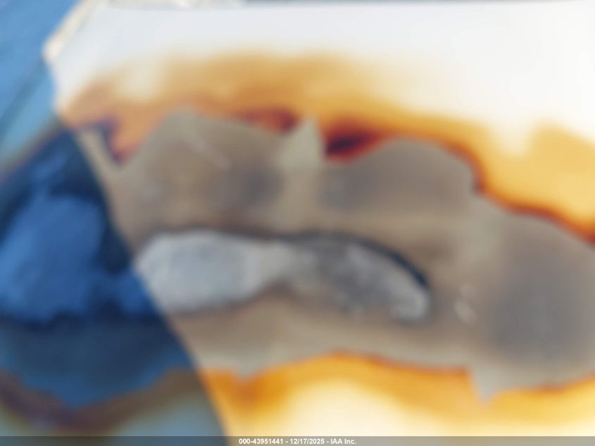 1995 Cadillac Deville VIN: 1G6KD52B0SU248451 Lot: 43951441