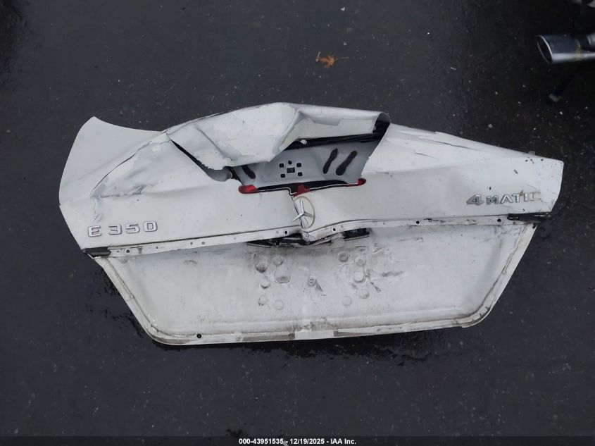 2009 Mercedes-Benz E 350 4Matic VIN: WDBUF87X29B390469 Lot: 43951535