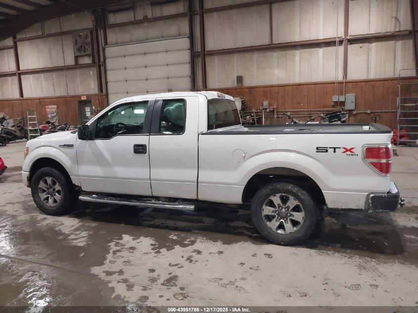 2011 Ford F-150 Stx VIN: 1FTFX1EF8BFB80076 Lot: 43951786