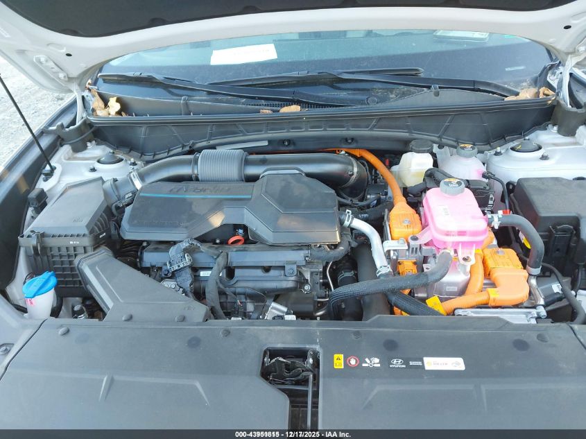 2025 Hyundai Tucson Hybrid Blue VIN: KM8JBDD1XSU314870 Lot: 43951815