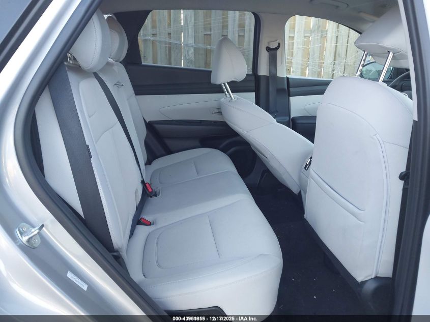 2025 Hyundai Tucson Hybrid Blue VIN: KM8JBDD1XSU314870 Lot: 43951815