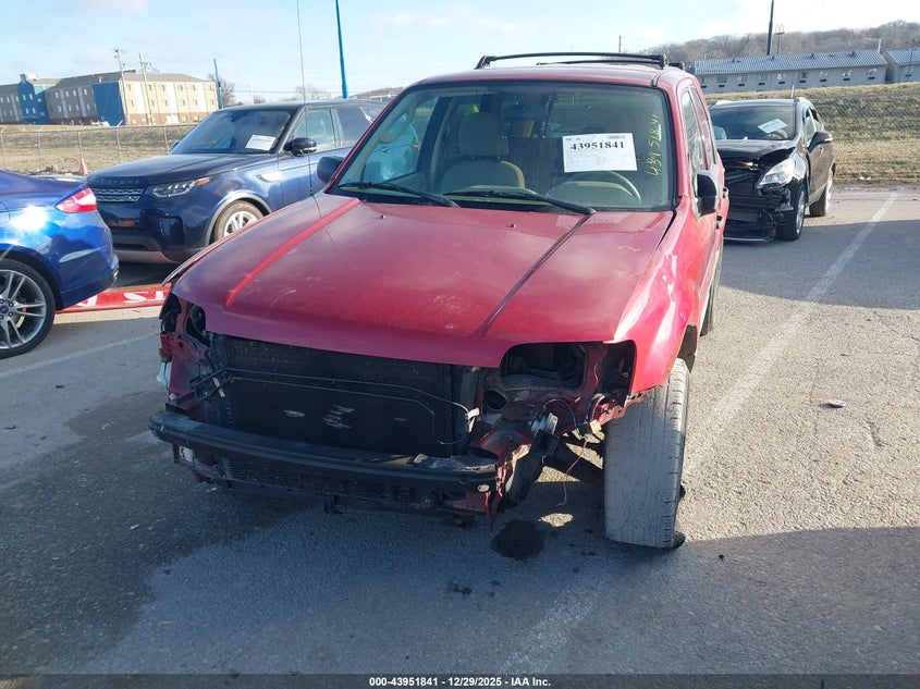 2007 Ford Escape Xlt/Xlt Sport