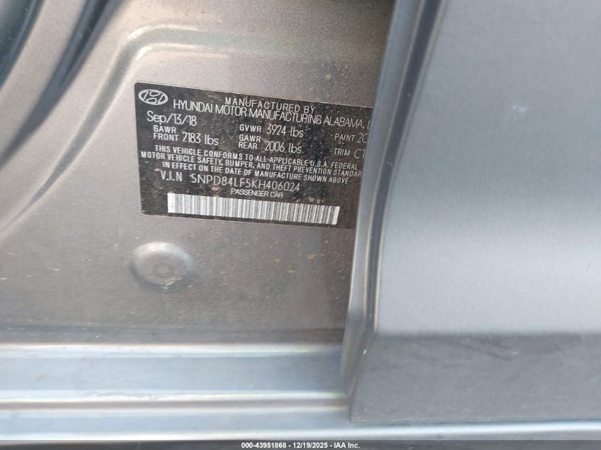 2019 Hyundai Elantra Sel VIN: 5NPD84LF5KH406024 Lot: 43951868