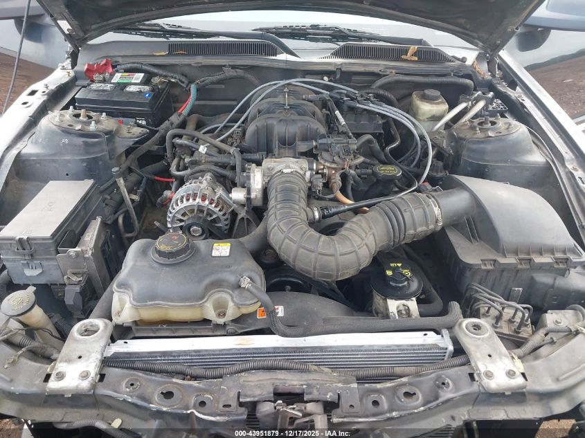 2005 Ford Mustang VIN: 1ZVHT84N655256858 Lot: 43951879