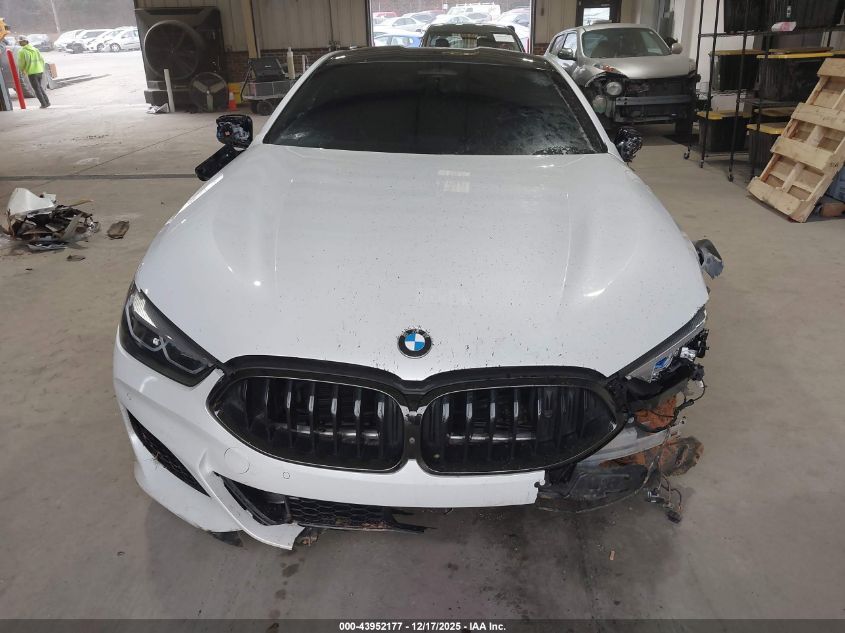 2019 BMW M850I xDrive VIN: WBABC4C5XKBU95603 Lot: 43952177