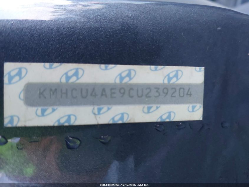 2012 Hyundai Accent Gls VIN: KMHCU4AE9CU239204 Lot: 43952324