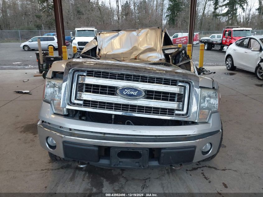 2013 Ford F-150 Xlt VIN: 1FTFX1EF4DFB68073 Lot: 43952498