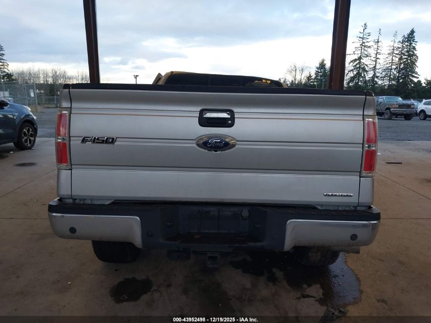 2013 Ford F-150 Xlt VIN: 1FTFX1EF4DFB68073 Lot: 43952498