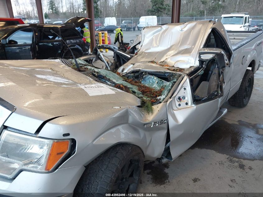 2013 Ford F-150 Xlt VIN: 1FTFX1EF4DFB68073 Lot: 43952498