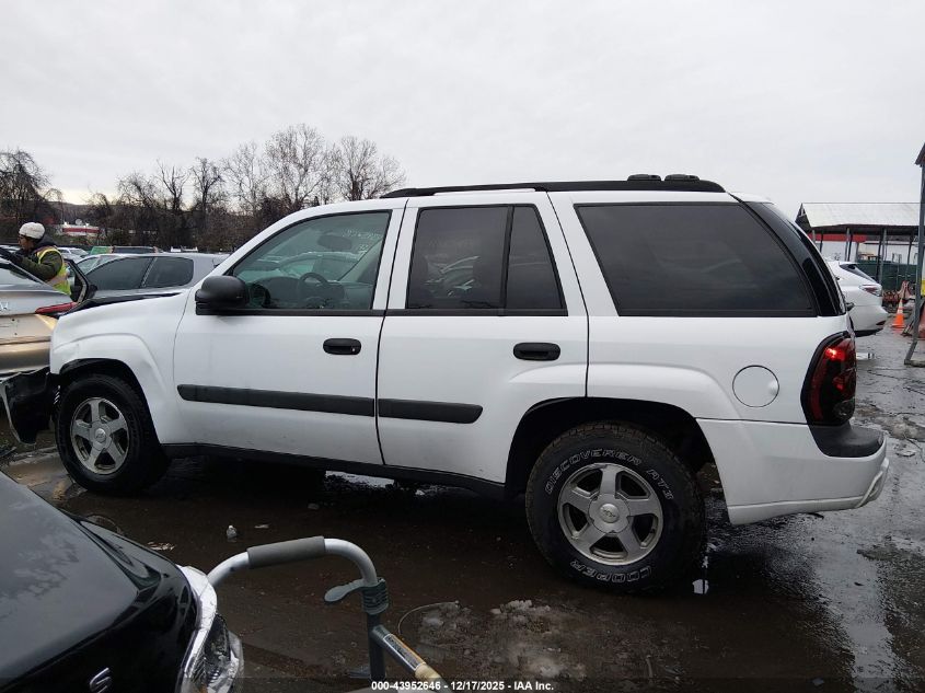 2005 Chevrolet Trailblazer Ls VIN: 1GNDT13S552317920 Lot: 43952646