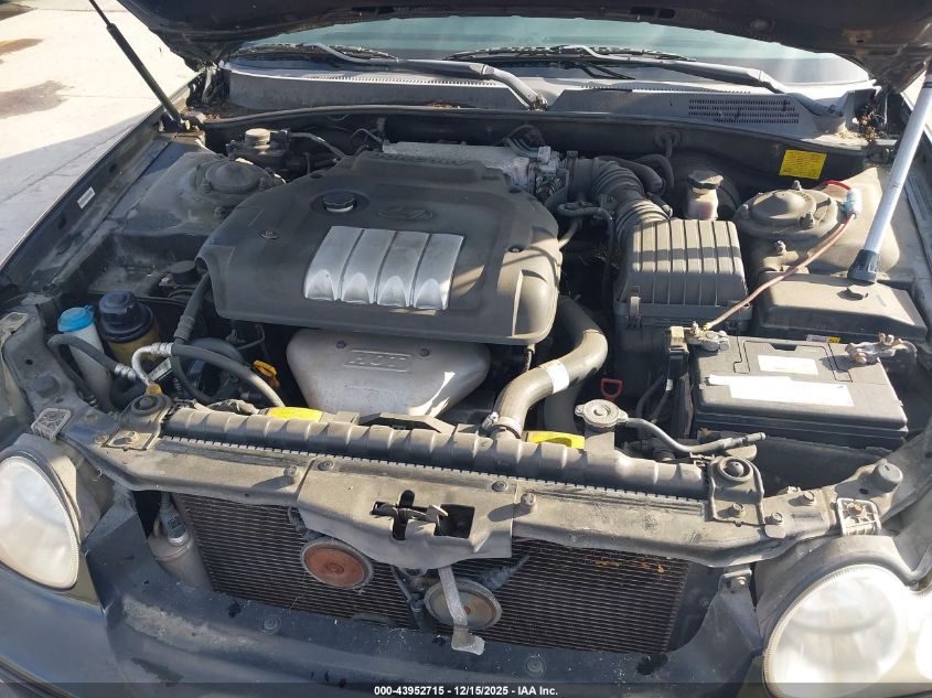 2003 Hyundai Sonata VIN: KMHWF25S33A807959 Lot: 43952715