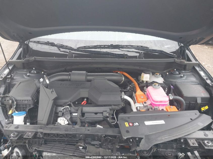 2025 Kia Sportage Hybrid Ex VIN: KNDPVCDG0S7211685 Lot: 43952860