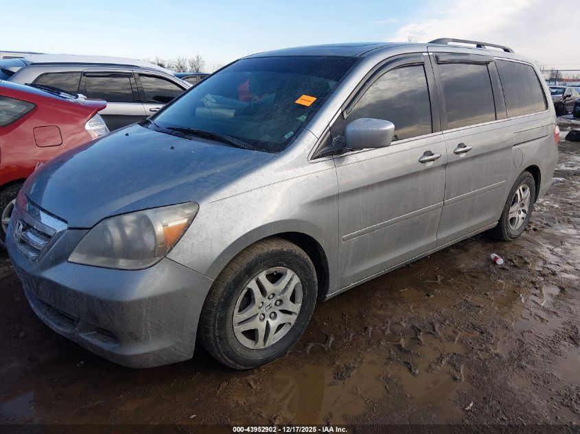 2007 Honda Odyssey Ex-L VIN: 5FNRL38757B118820 Lot: 43952902