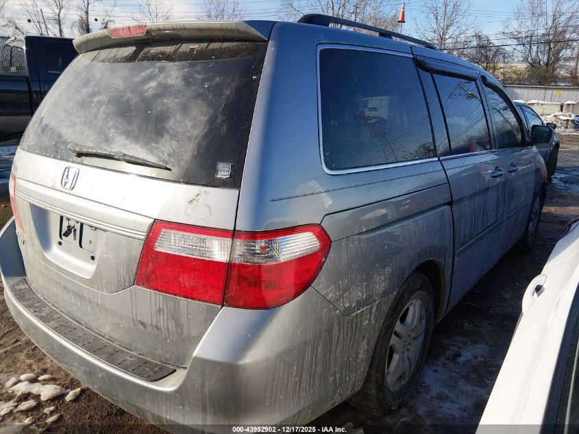 2007 Honda Odyssey Ex-L VIN: 5FNRL38757B118820 Lot: 43952902