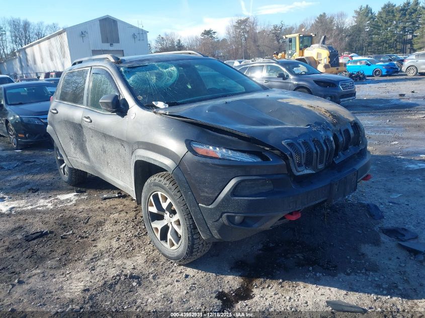 2014 Jeep Cherokee Trailhawk VIN: 1C4PJMBS6EW311325 Lot: 43952931