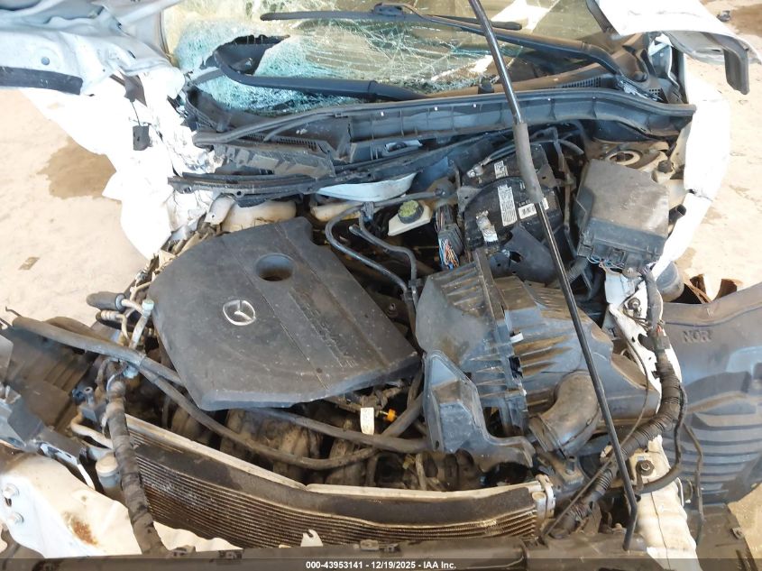 2010 Mazda Mazda3 I Touring VIN: JM1BL1SF6A1128925 Lot: 43953141