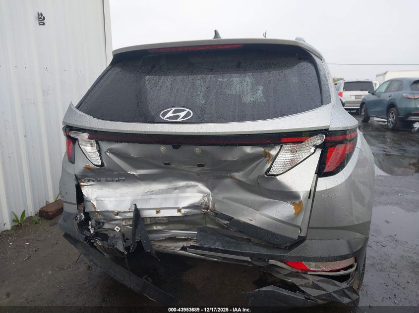 2024 Hyundai Tucson Sel VIN: 5NMJB3DEXRH297572 Lot: 43953689