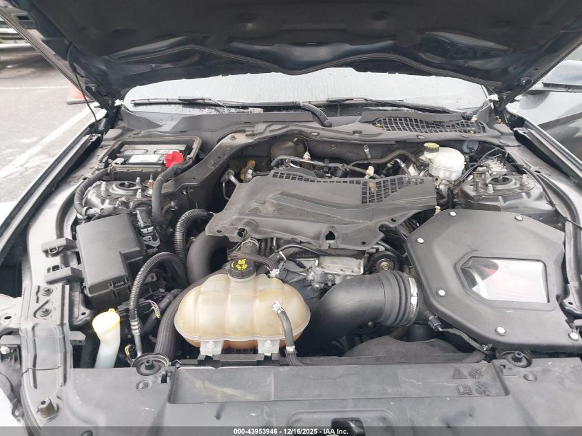 2019 Ford Mustang Ecoboost Premium VIN: 1FA6P8TH0K5120740 Lot: 43953946