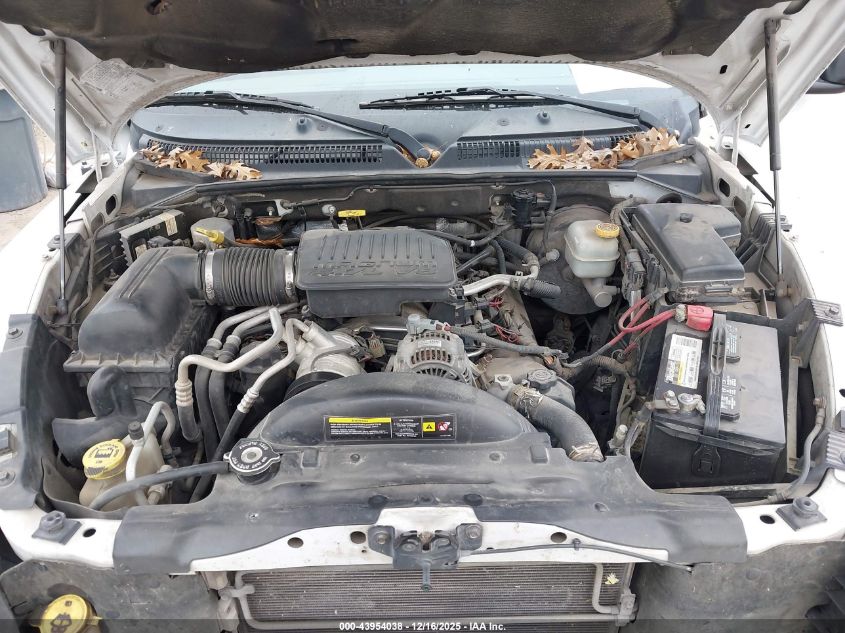 2005 Dodge Dakota Slt VIN: 1D7HW48N95S166513 Lot: 43954038