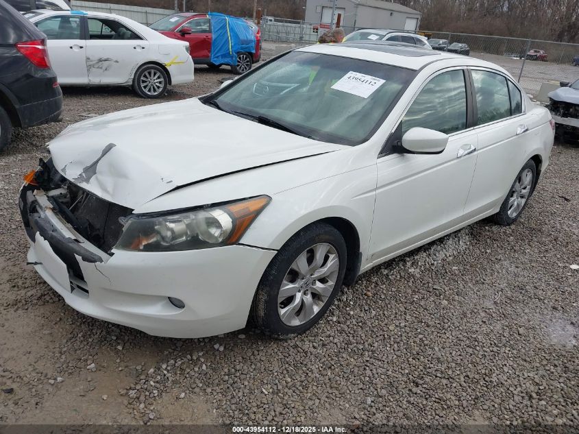 2010 Honda Accord 3.5 Ex-L VIN: 1HGCP3F86AA003165 Lot: 43954112