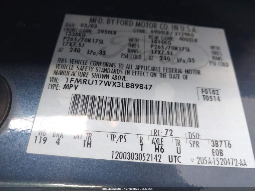 2003 Ford Expedition Eddie Bauer VIN: 1FMRU17WX3LB89847 Lot: 43954200