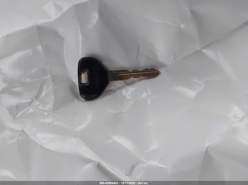 1999 Jeep Wrangler Se VIN: 1J4FY29P6XP486548 Lot: 43954403