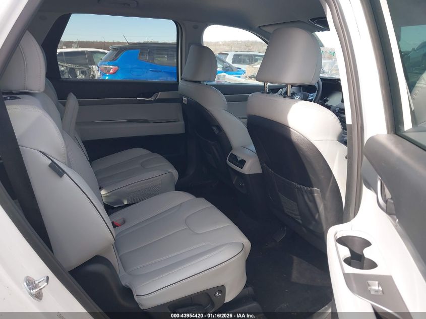 2025 Hyundai Palisade - KM8R2DGE7SU833358