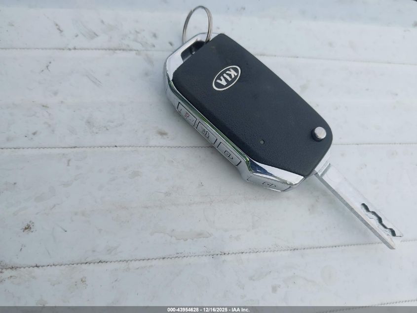 2019 Kia Forte Lxs VIN: 3KPF24AD4KE087120 Lot: 43954628