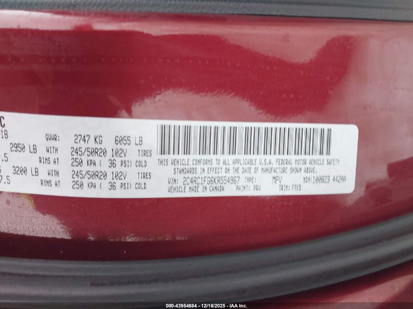 2019 Chrysler Pacifica Touring Plus VIN: 2C4RC1FG6KR554967 Lot: 43954684