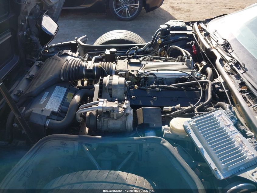 1996 Chevrolet Corvette VIN: 1G1YY22P1T5107544 Lot: 43954861