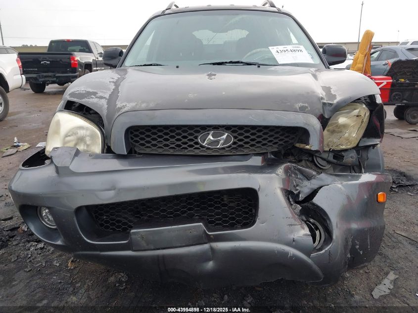 2003 Hyundai Santa Fe Gls/Lx VIN: KM8SC13E63U500203 Lot: 43954898