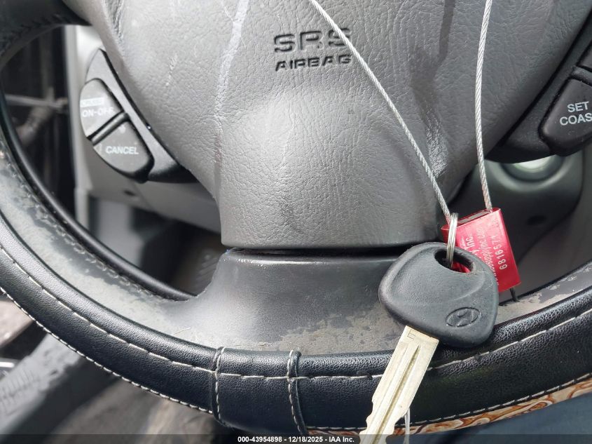 2003 Hyundai Santa Fe Gls/Lx VIN: KM8SC13E63U500203 Lot: 43954898