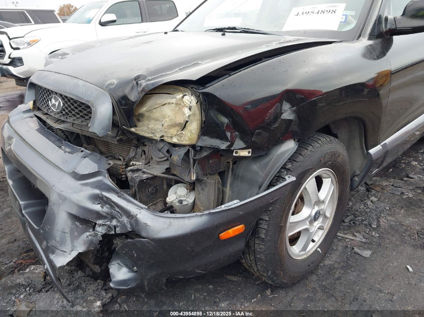 2003 Hyundai Santa Fe Gls/Lx VIN: KM8SC13E63U500203 Lot: 43954898