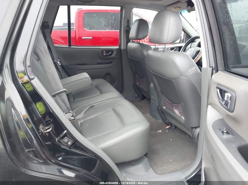 2003 Hyundai Santa Fe Gls/Lx VIN: KM8SC13E63U500203 Lot: 43954898