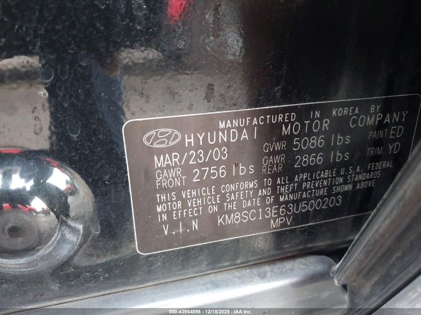 2003 Hyundai Santa Fe Gls/Lx VIN: KM8SC13E63U500203 Lot: 43954898