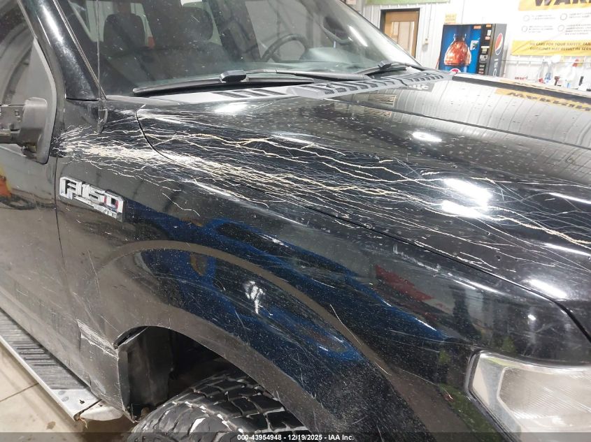 2017 Ford F-150 Xlt VIN: 1FTFX1EF0HKE57335 Lot: 43954948