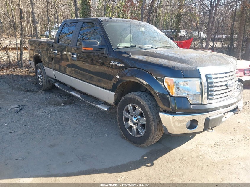 1FTFW1EVXAFB22737 2010 Ford F-150 Fx4/Harley-Davidson/King Ranch/Lariat/Platinum/Xl/Xlt auction photo 1