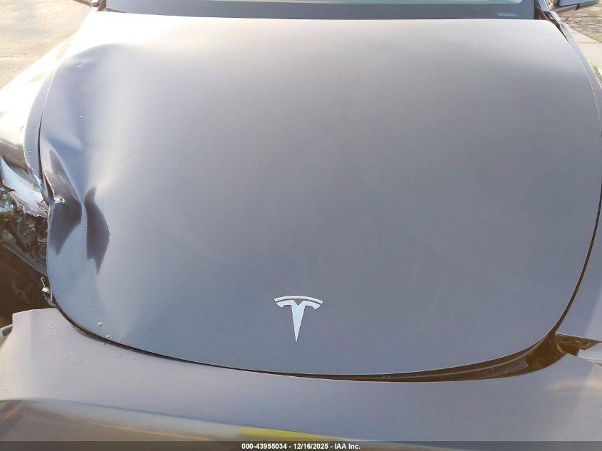 2023 Tesla Model Y Rwd VIN: 7SAYGDED9PF965987 Lot: 43955034