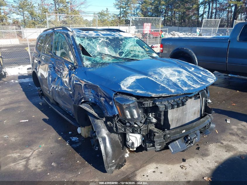 2025 Kia Telluride Ex X-Line VIN: 5XYP3DGC8SG578244 Lot: 43955090