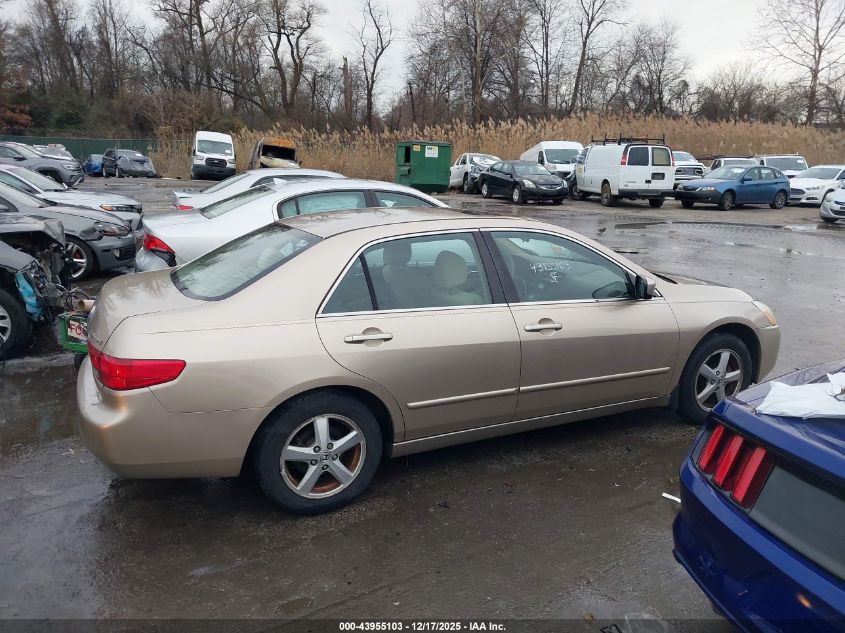 2005 Honda Accord 2.4 Ex VIN: 1HGCM56705A042867 Lot: 43955103