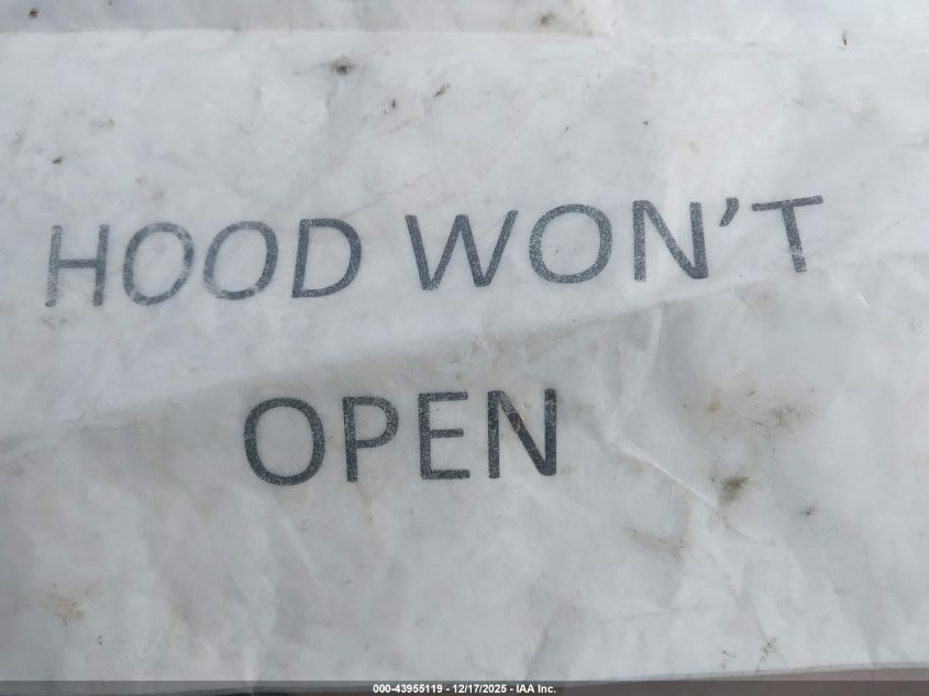 2004 Lexus Es 330 VIN: JTHBA30G840008131 Lot: 43955119