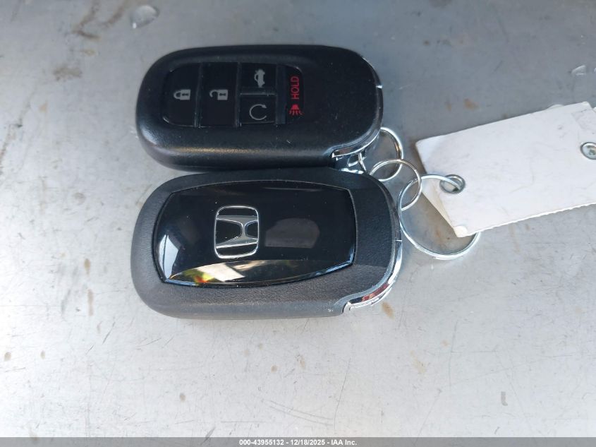 2023 Honda Accord Ex VIN: 1HGCY1F32PA034346 Lot: 43955132