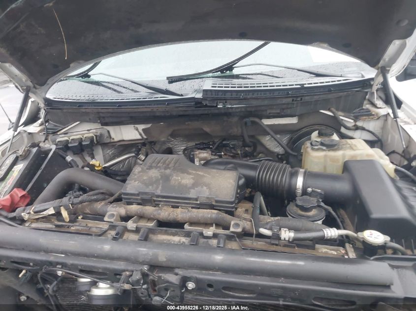 2009 Ford F-150 Stx/Xl VIN: 1FTRX12W69KB57740 Lot: 43955226