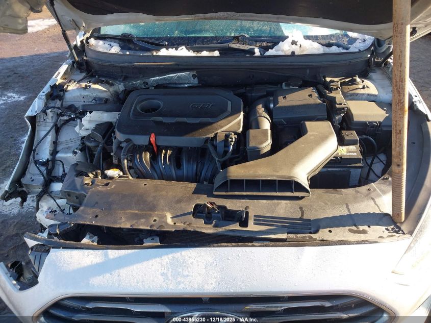 2019 Hyundai Sonata Se VIN: 5NPE24AF5KH794848 Lot: 43955230