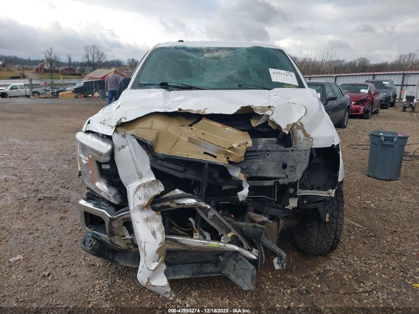 2018 Ford F-150 Xlt VIN: 1FTEW1E50JKF39254 Lot: 43955274